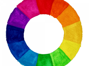 Color Wheel PNG Pic