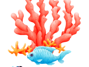 Coral Reef PNG Cutout