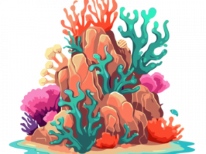 Coral Reef PNG HD Image