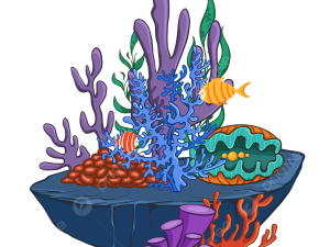 Coral Reef PNG Image HD