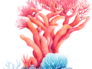 Coral Reef PNG Images