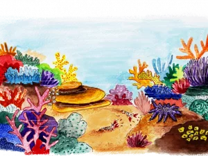 Coral Reef PNG Picture