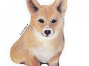 Corgi Background PNG