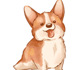 Corgi PNG Background