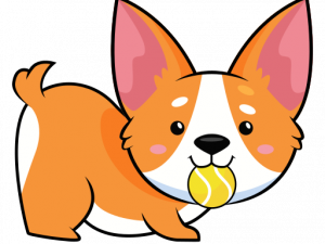 Corgi PNG Images