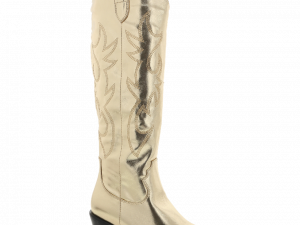 Cowgirl Boot Background PNG