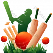Cricket PNG File