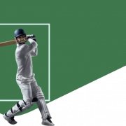 Cricket PNG HD Image