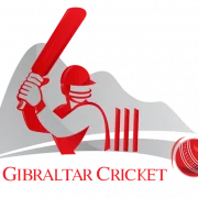Cricket PNG Photo