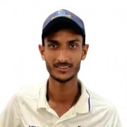 Cricket PNG Picture