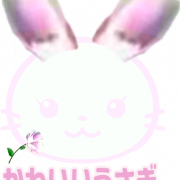 Cute Bunny PNG Images