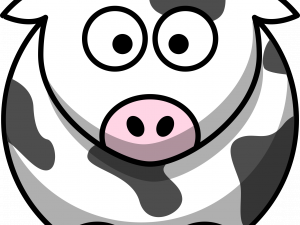 Cute Cow