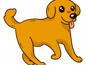 Cute Dog PNG Photos