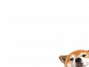 Cute Dog PNG Pic