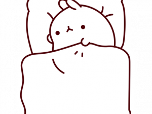 Cute Sticker Transparent