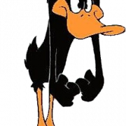 Daffy Duck PNG Image