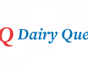 Dairy Queen Logo PNG Cutout