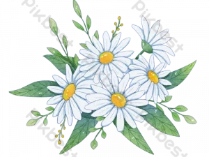 Daisy Flower PNG Image File