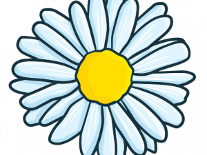 Daisy Flower Transparent