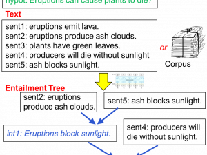 Dataset Transparent