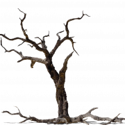 Dead Tree PNG Free Image