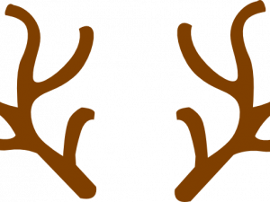 Deer Antlers PNG Clipart