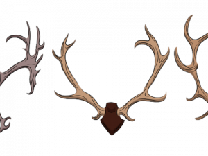 Deer Antlers PNG HD Image