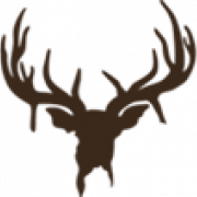 Deer Antlers PNG Image
