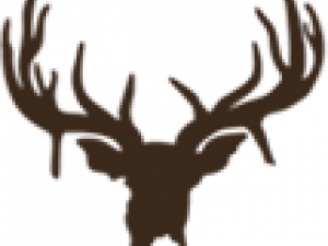 Deer Antlers PNG Image