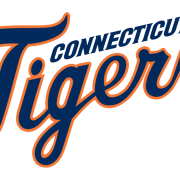 Detroit Tigers Logo PNG