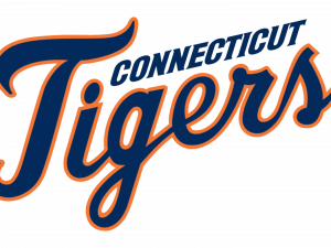 Detroit Tigers Logo PNG