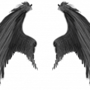Devil Wings PNG Image