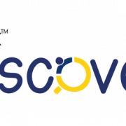 Discover Logo PNG Images HD