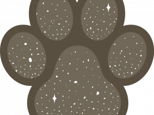 Dog Paw Print Background PNG