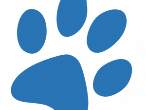 Dog Paw Print PNG Background