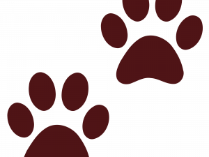 Dog Paw Print PNG Image