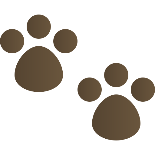 Dog Paw Print PNG Images HD