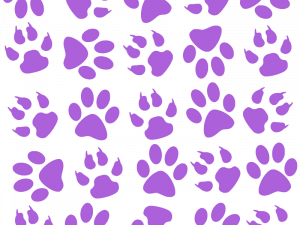 Dog Paw Print PNG Photo