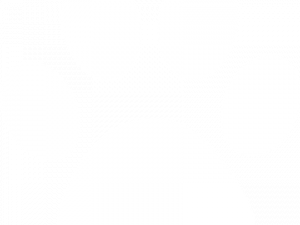 Dog Paw Print Transparent