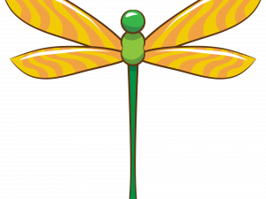 Dragonfly PNG Clipart