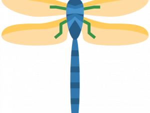 Dragonfly PNG Cutout