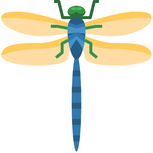 Dragonfly PNG Cutout