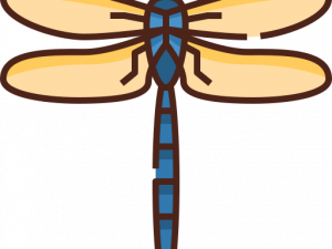 Dragonfly PNG Image HD