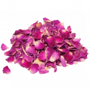 Dry Flower Background PNG