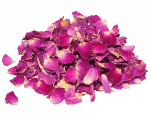 Dry Flower Background PNG