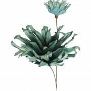 Dry Flower PNG Photos PNG All   Dry Flower PNG File 180x180 