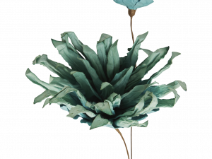 Dry Flower PNG File