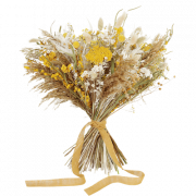Dry Flower PNG Free Image