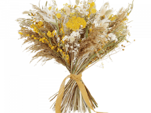 Dry Flower PNG Free Image