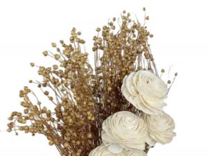 Dry Flower PNG Image File